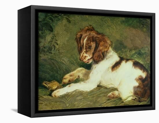 A Puppy Teasing a Frog, 1824-Edwin Henry Landseer-Framed Premier Image Canvas