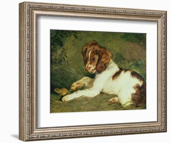 A Puppy Teasing a Frog, 1824-Edwin Henry Landseer-Framed Giclee Print