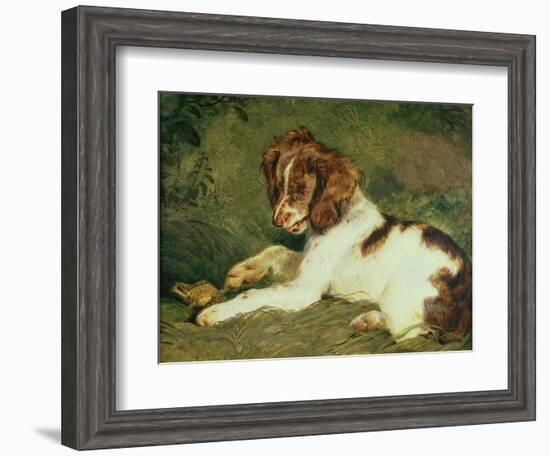 A Puppy Teasing a Frog, 1824-Edwin Henry Landseer-Framed Giclee Print