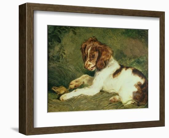 A Puppy Teasing a Frog, 1824-Edwin Henry Landseer-Framed Giclee Print