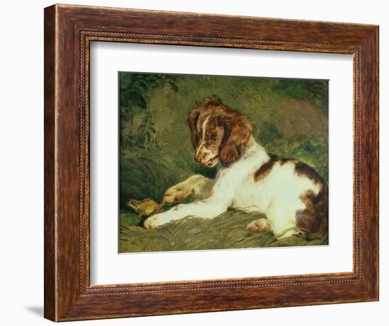 A Puppy Teasing a Frog, 1824-Edwin Henry Landseer-Framed Giclee Print