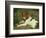 A Puppy Teasing a Frog, 1824-Edwin Henry Landseer-Framed Giclee Print