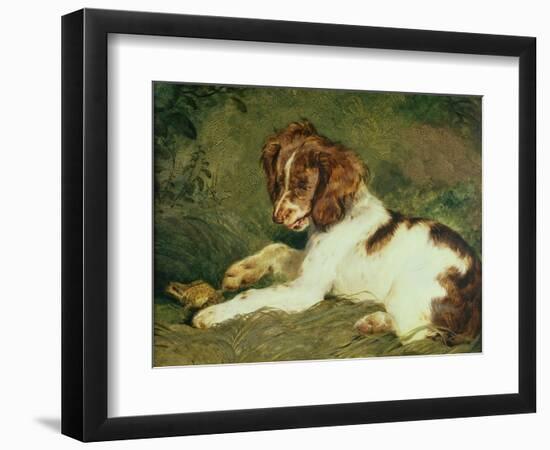 A Puppy Teasing a Frog, 1824-Edwin Henry Landseer-Framed Giclee Print