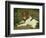 A Puppy Teasing a Frog, 1824-Edwin Henry Landseer-Framed Giclee Print