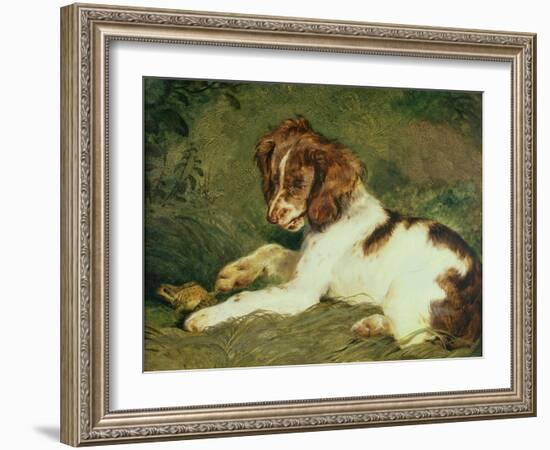 A Puppy Teasing a Frog, 1824-Edwin Henry Landseer-Framed Giclee Print