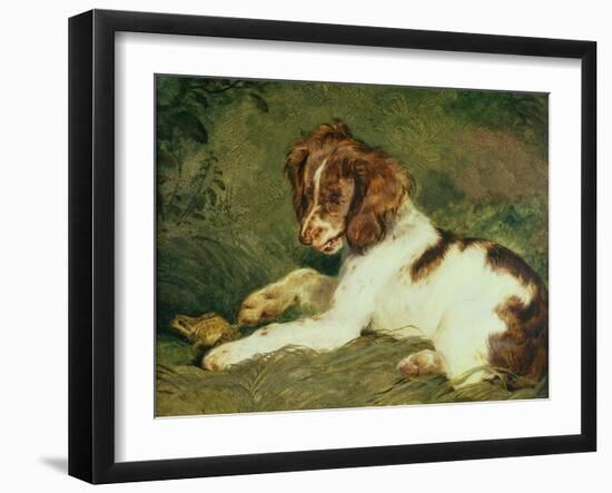 A Puppy Teasing a Frog, 1824-Edwin Henry Landseer-Framed Giclee Print