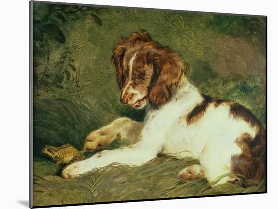 A Puppy Teasing a Frog, 1824-Edwin Henry Landseer-Mounted Giclee Print