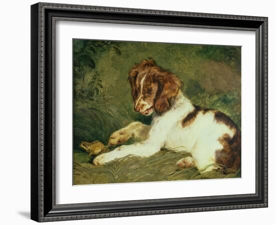 A Puppy Teasing a Frog, 1824-Edwin Henry Landseer-Framed Giclee Print