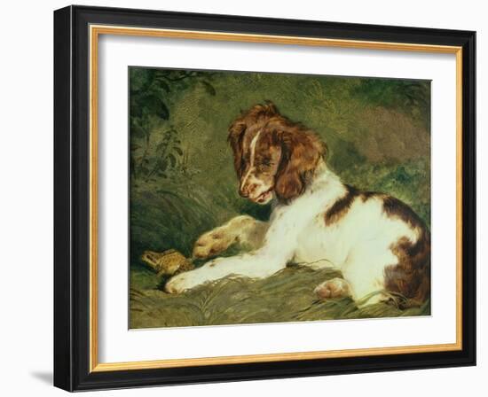 A Puppy Teasing a Frog, 1824-Edwin Henry Landseer-Framed Giclee Print