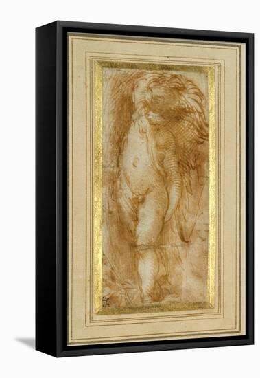 A Putto Turned to the Left-Parmigianino-Framed Premier Image Canvas