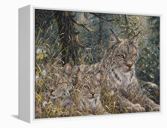 A Quiet Moment-Jeff Tift-Framed Premier Image Canvas