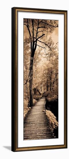 A Quiet Stroll I-Ily Szilagyi-Framed Art Print