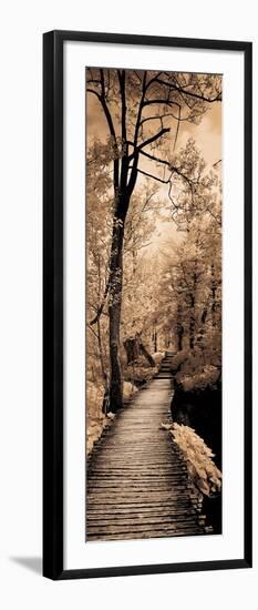 A Quiet Stroll I-Ily Szilagyi-Framed Art Print