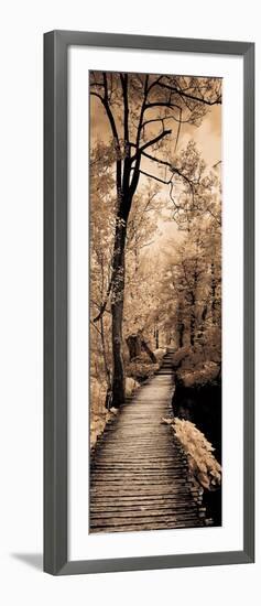 A Quiet Stroll I-Ily Szilagyi-Framed Art Print