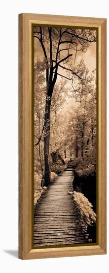 A Quiet Stroll I-Ily Szilagyi-Framed Stretched Canvas