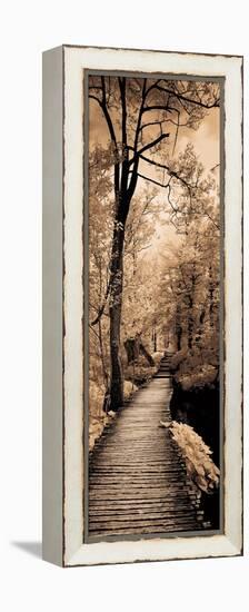 A Quiet Stroll I-Ily Szilagyi-Framed Stretched Canvas