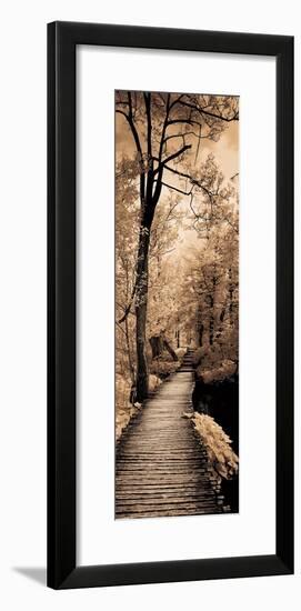 A Quiet Stroll I-Ily Szilagyi-Framed Art Print