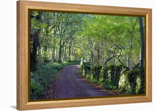 A quiet tree lined lane in the Duddon Valley, Lake District National Park, Cumbria, England, United-Peter Watson-Framed Premier Image Canvas