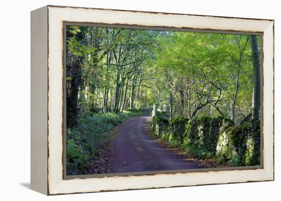 A quiet tree lined lane in the Duddon Valley, Lake District National Park, Cumbria, England, United-Peter Watson-Framed Premier Image Canvas