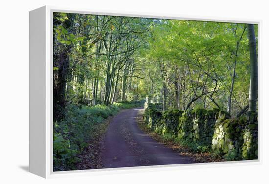 A quiet tree lined lane in the Duddon Valley, Lake District National Park, Cumbria, England, United-Peter Watson-Framed Premier Image Canvas