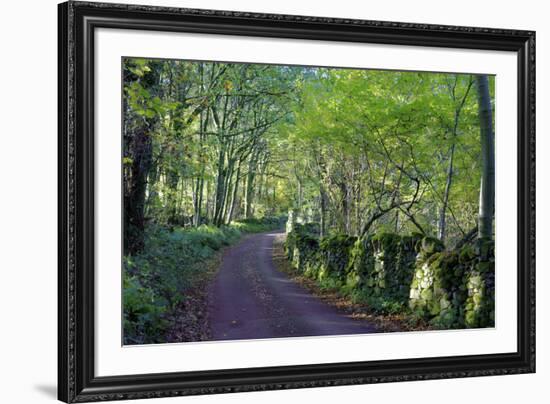 A quiet tree lined lane in the Duddon Valley, Lake District National Park, Cumbria, England, United-Peter Watson-Framed Photographic Print