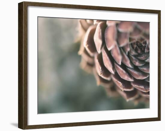 A Quiet Understanding-Christy Ann-Framed Giclee Print