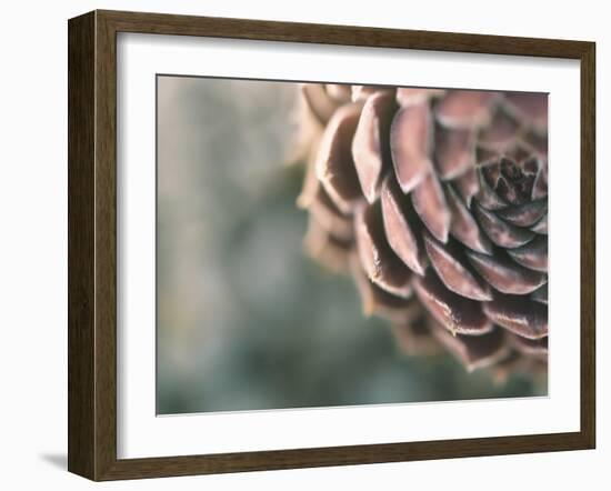 A Quiet Understanding-Christy Ann-Framed Giclee Print