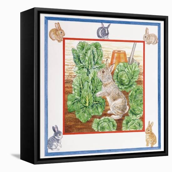 A Rabbit in the Cabbage Patch-Catherine Bradbury-Framed Premier Image Canvas