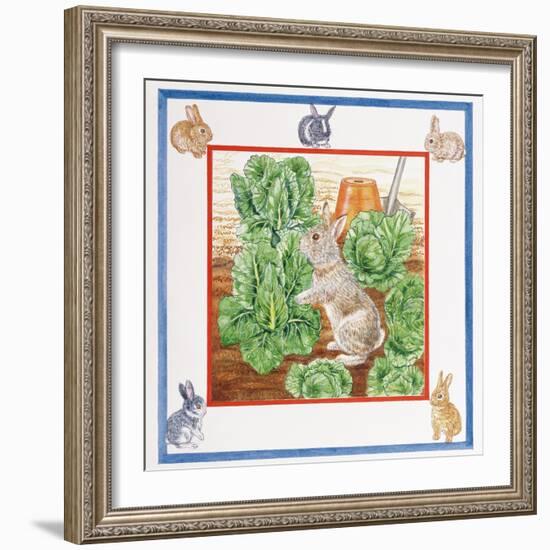 A Rabbit in the Cabbage Patch-Catherine Bradbury-Framed Giclee Print