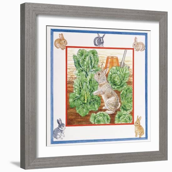 A Rabbit in the Cabbage Patch-Catherine Bradbury-Framed Giclee Print