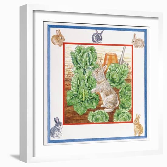 A Rabbit in the Cabbage Patch-Catherine Bradbury-Framed Giclee Print