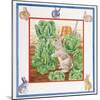 A Rabbit in the Cabbage Patch-Catherine Bradbury-Mounted Giclee Print