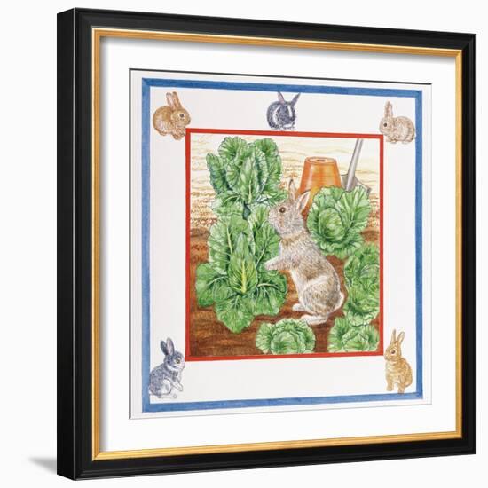 A Rabbit in the Cabbage Patch-Catherine Bradbury-Framed Giclee Print