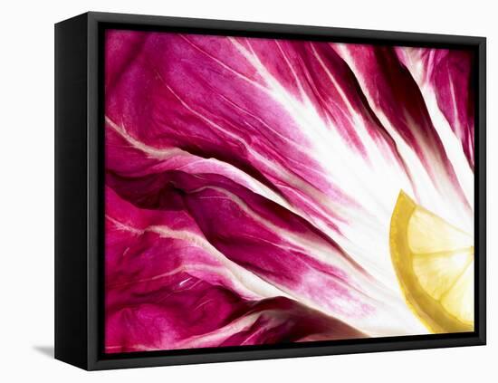 A Radicchio Leaf with a Slice of Lemon-Peter Rees-Framed Premier Image Canvas