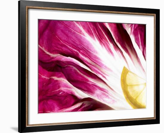 A Radicchio Leaf with a Slice of Lemon-Peter Rees-Framed Photographic Print