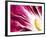 A Radicchio Leaf with a Slice of Lemon-Peter Rees-Framed Photographic Print