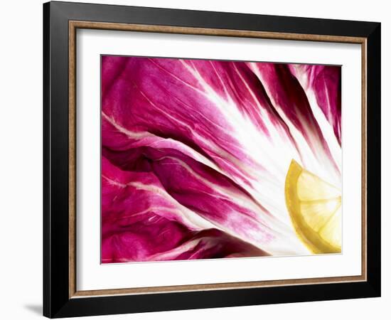 A Radicchio Leaf with a Slice of Lemon-Peter Rees-Framed Photographic Print