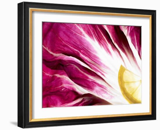 A Radicchio Leaf with a Slice of Lemon-Peter Rees-Framed Photographic Print