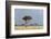 A Rainstorm Approaching in the Masai Mara Plains, Kenya-Sergio Pitamitz-Framed Photographic Print