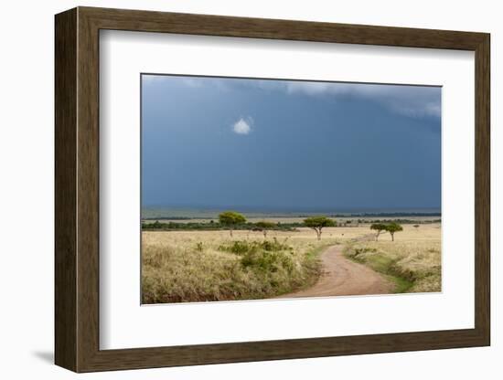 A Rainstorm Approaching in the Masai Mara Plains, Kenya-Sergio Pitamitz-Framed Photographic Print