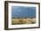 A Rainstorm Approaching in the Masai Mara Plains, Kenya-Sergio Pitamitz-Framed Photographic Print