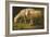 A Ram and a Sheep-Johan Wenzel Peter-Framed Premium Giclee Print