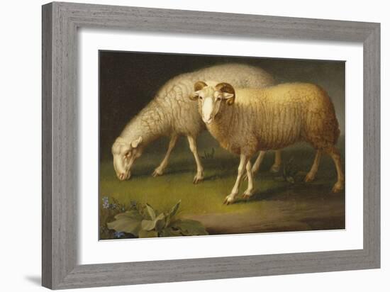 A Ram and a Sheep-Johan Wenzel Peter-Framed Premium Giclee Print