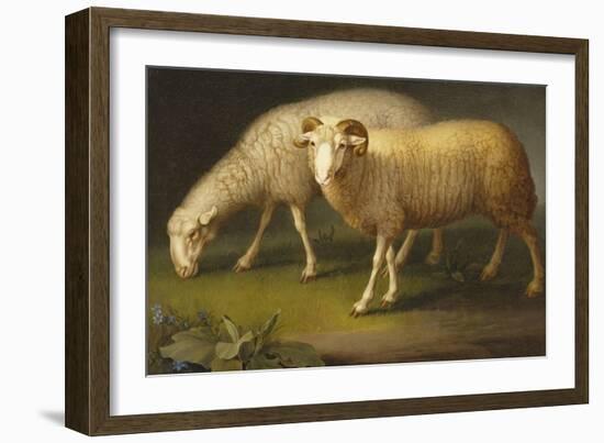 A Ram and a Sheep-Johan Wenzel Peter-Framed Premium Giclee Print