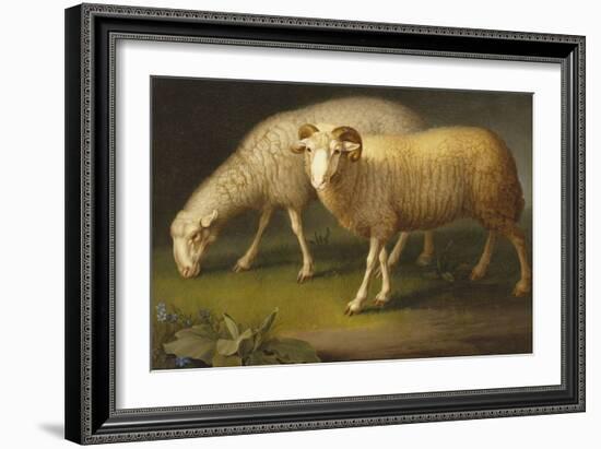 A Ram and a Sheep-Johan Wenzel Peter-Framed Premium Giclee Print