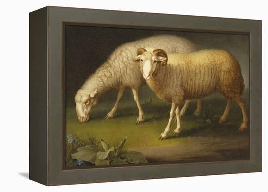 A Ram and a Sheep-Johan Wenzel Peter-Framed Premier Image Canvas