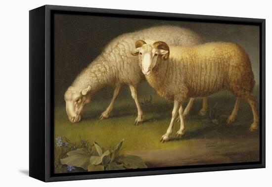 A Ram and a Sheep-Johan Wenzel Peter-Framed Premier Image Canvas