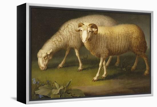 A Ram and a Sheep-Johan Wenzel Peter-Framed Premier Image Canvas