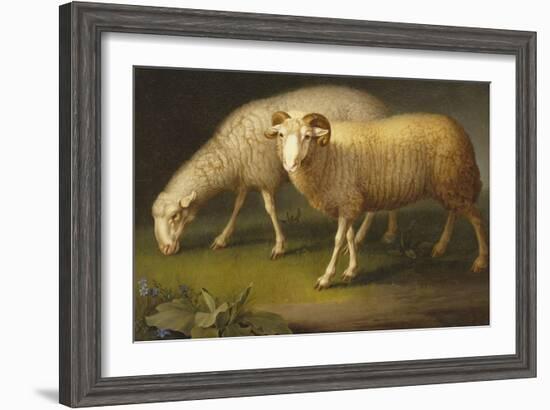 A Ram and a Sheep-Johan Wenzel Peter-Framed Giclee Print