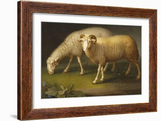 A Ram and a Sheep-Johan Wenzel Peter-Framed Giclee Print